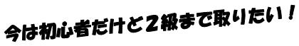 今は初心者だけど2級まで取りたい!