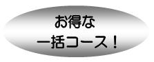 お得な一括コース!